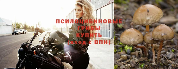 Альфа ПВП Абинск