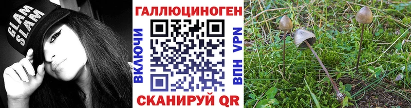 Псилоцибиновые грибы мухоморы  OMG ссылка  Сертолово 